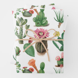 Feuille De Papier Cadeau Aquarelle colorée Cactus et succulents Fleurs
