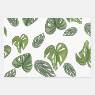 Feuille De Papier Cadeau Aquarelle main Monstera Adansonii Leaf