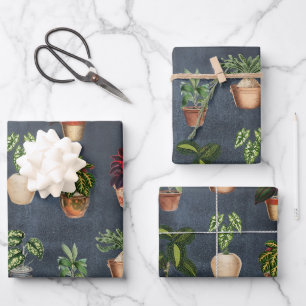 Feuille De Papier Cadeau Aquarelle Pointe Plante Terracotta Pots Rustique