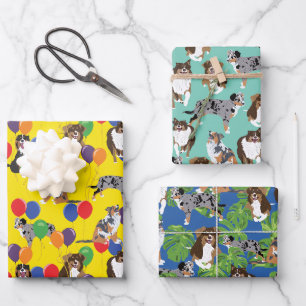 Feuille De Papier Cadeau Association australienne des chiens bergers