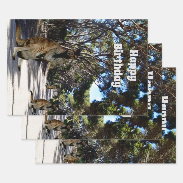 Feuille De Papier Cadeau Australian Wallaby Road, Draps Cadeaux (Lot)