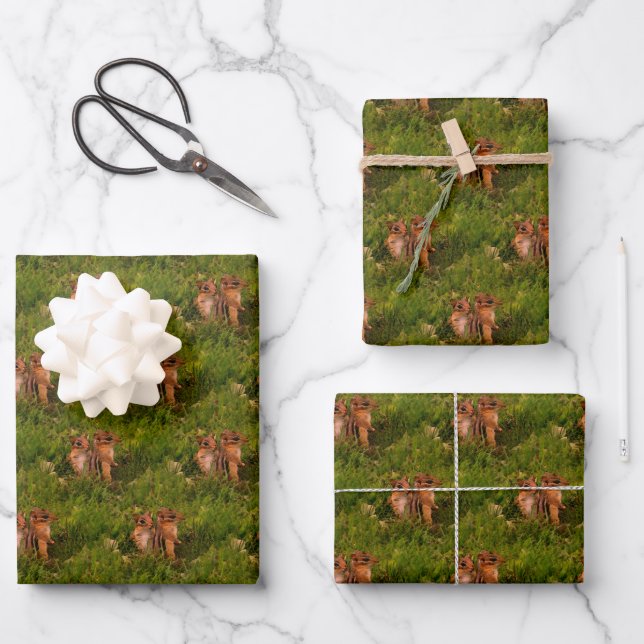 Feuille De Papier Cadeau Baby Chipmunks Animal Nature Art (Recto)