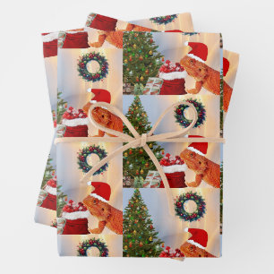 Feuille De Papier Cadeau Beardie-Claus - Beardie Dragon Père Noël
