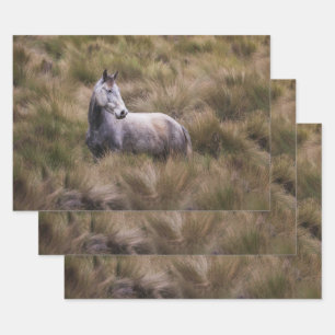 Feuille De Papier Cadeau Beau cheval gris couleur