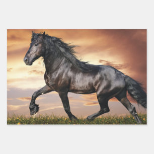 Feuille De Papier Cadeau Beau Cheval Noir
