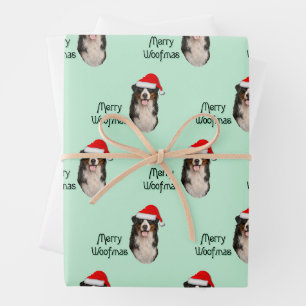 Feuille De Papier Cadeau Beau chien de montagne bernois dans un chapeau de 