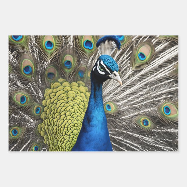 Feuille De Papier Cadeau Beau Peacock (Devant)