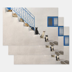 Feuille De Papier Cadeau Beaucoup de chats sur un escalier blanc dans un vi