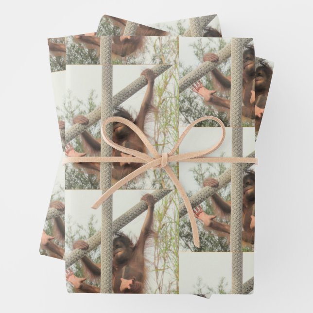 Feuille De Papier Cadeau Bébé balançant Orangoutan Toutes les occasions (En situation)