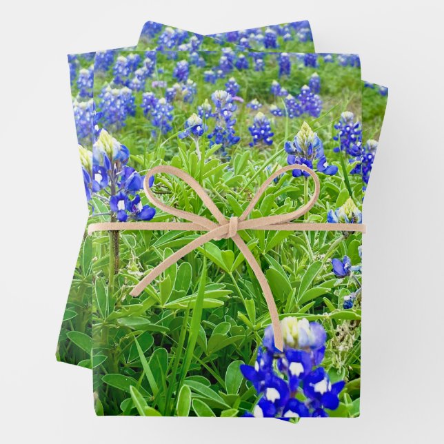 Feuille De Papier Cadeau Belle Bluebonnets Texas Photographie (En situation)