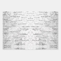 Blanc, comme dans Birch Bark Photo