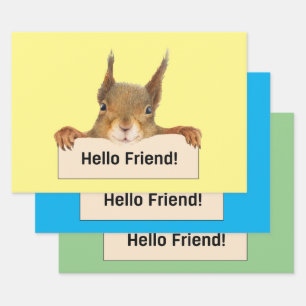 Feuille De Papier Cadeau Bonjour ami Funny Squirrel