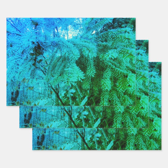 Feuille De Papier Cadeau Brindilles d'arbre du sapin gélose glacée magique  (Lot)