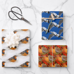 Feuille De Papier Cadeau Brosses variées et d'ermite et oiseaux de goéland 