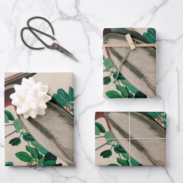 Feuille De Papier Cadeau Brown Pelican Birds of America Audubon (Recto)