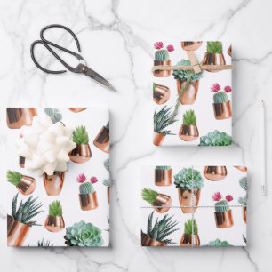 Feuille De Papier Cadeau Cactus et succulents dans des pots d'or Roses