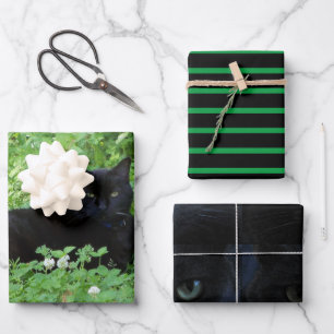 Feuille De Papier Cadeau Cadeau pour les amateurs de chat noir ou artisanat