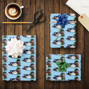 Feuille De Papier Cadeau Canard en bois coloré nénuphar faune bleu