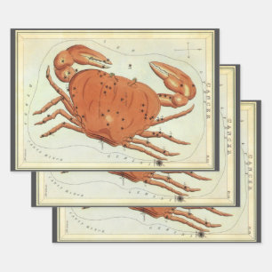 Feuille De Papier Cadeau Cancer Crabe Constellation Vintage, Miroir d'Urani