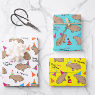 Feuille De Papier Cadeau Capybara Anniversaire Personnalisé Illustré À La M