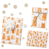 Chat orange