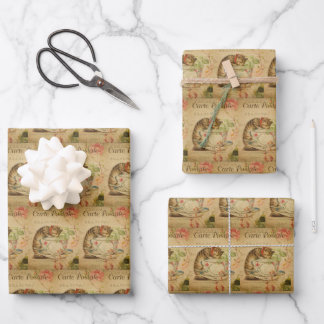 Feuille De Papier Cadeau chaton chaton vintage animal chaton chic chaton ré