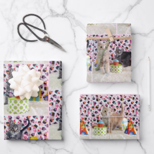 Feuille De Papier Cadeau Chatons ! (chats) L'anniversaire de Buffington et 