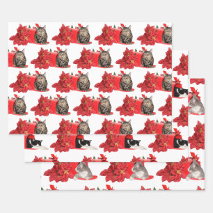 Feuille De Papier Cadeau Chats dans la boîte aux lettres de Noël