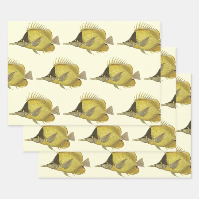 Feuille De Papier Cadeau Chelmon Tropical Jaune Longirostris, Poisson Vinta (Lot)