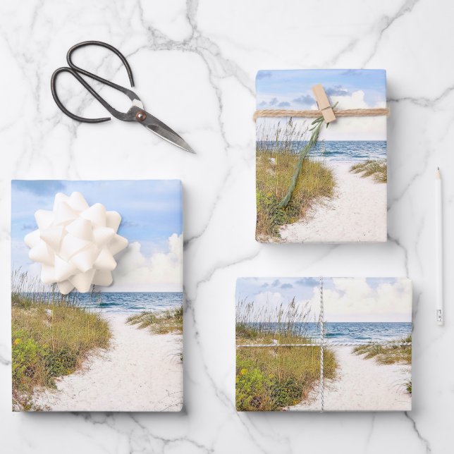 Feuille De Papier Cadeau Chemin d'entrée de plage en Floride Photo (Recto)