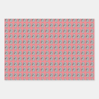 Feuille De Papier Cadeau Chemins, couleur rose,