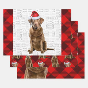 Feuille De Papier Cadeau Chesapeake Bay Retriever Dog Holiday Plaid