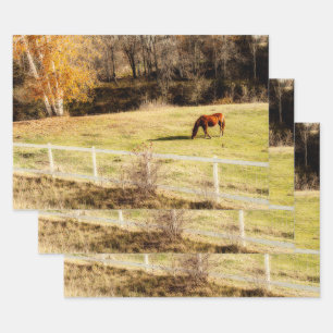Feuille De Papier Cadeau Cheval Pays Rustique Automne Découpage