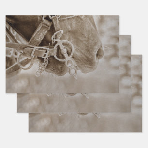 Feuille De Papier Cadeau Cheval Western Vintage Sepia Rustique Découpage