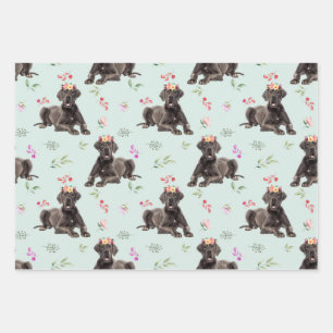 Feuille De Papier Cadeau Chien Floral Great Dane Motif, Chien Fan Cadeau
