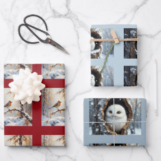 Feuille De Papier Cadeau Christmas wild bird collection