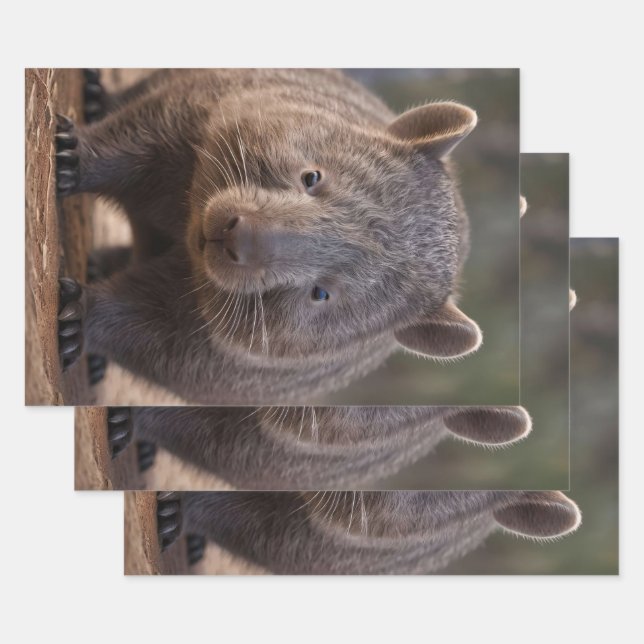 Feuille De Papier Cadeau Chubby The Australian Wombat, (Lot)