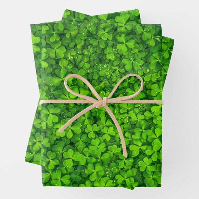 Feuille De Papier Cadeau Clochers shamrocks (En situation)