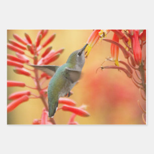 Feuille De Papier Cadeau Colibri entouré de yucca rouge