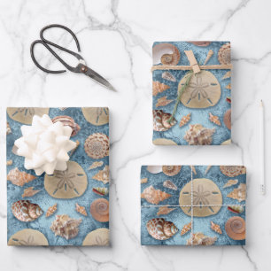 Feuille De Papier Cadeau Collection de coquillages