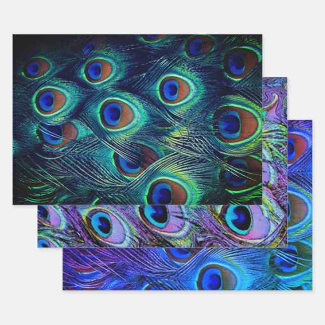Feuille De Papier Cadeau Collection de plumes Peacock (Lot)