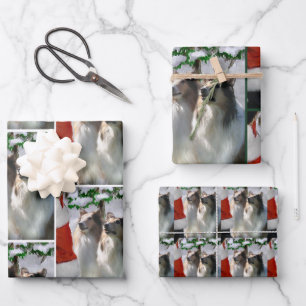 Feuille De Papier Cadeau Collies et Père Noël Christmas