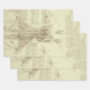 Feuille De Papier Cadeau Colonne de colonne vertébrale de l'anatomie humain