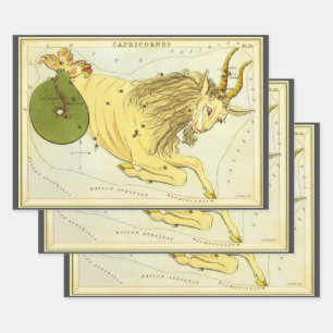 Feuille De Papier Cadeau Constellation Vintage Capricorne, Miroir d'Urania