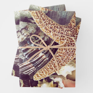 Feuille De Papier Cadeau Coques de plage