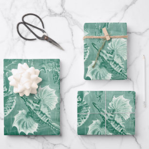 Feuille De Papier Cadeau Coques et poissons de Teleostei vintages par Ernst