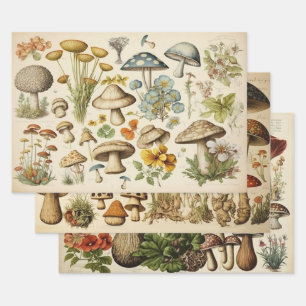 Feuille De Papier Cadeau Cottagecore de champignons vintages