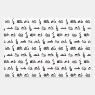 Feuille De Papier Cadeau Couleur personnalisée des lapins d'antiquités Ar