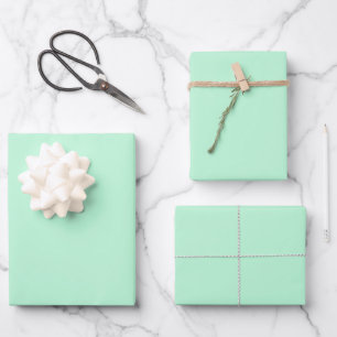 Feuille De Papier Cadeau Couleur solide de la menthe d'hiver