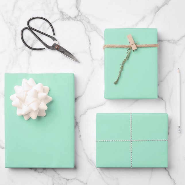Feuille De Papier Cadeau Couleur solide de la menthe magique (Recto)